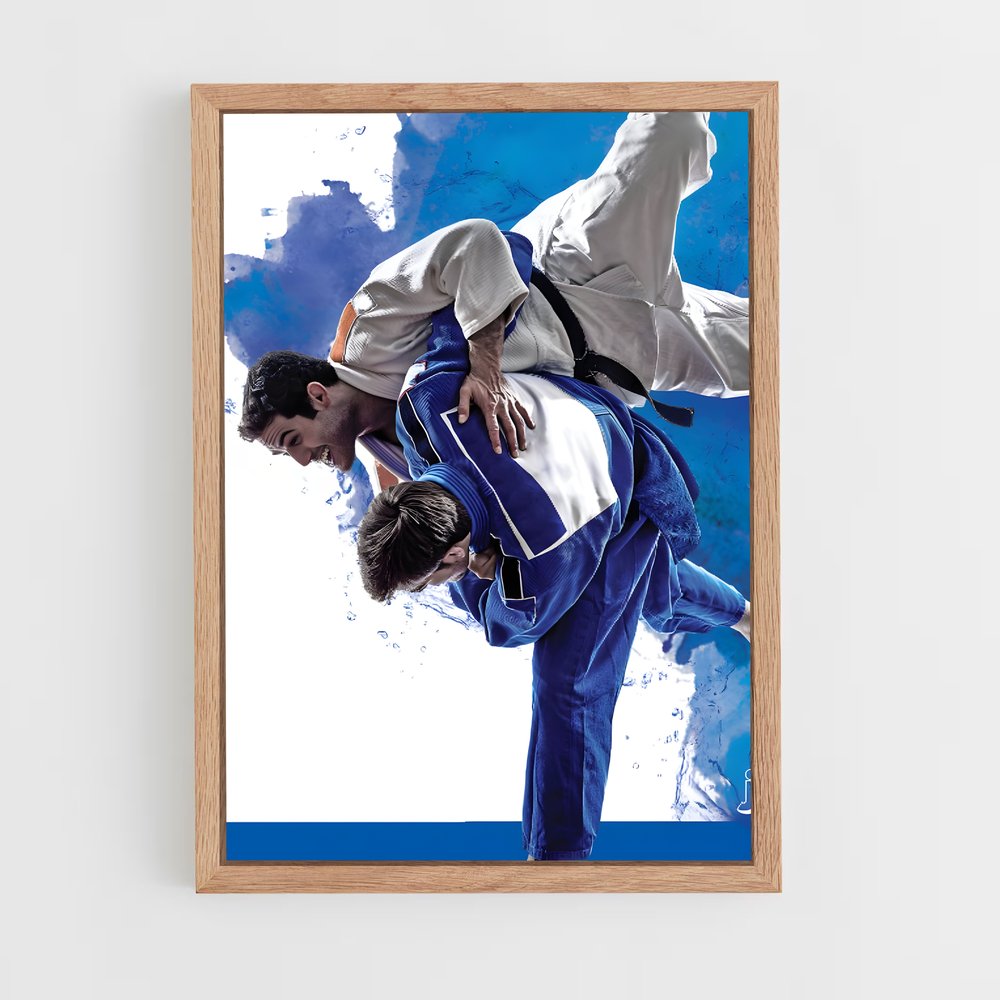 Poster Olympics judo (vue 4)
